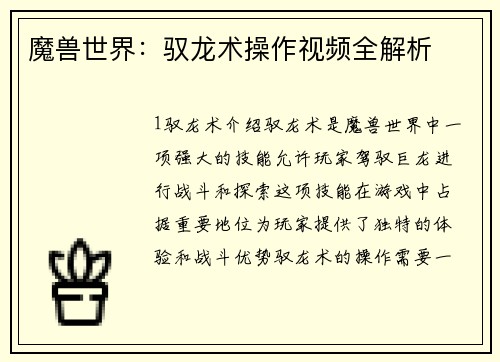 魔兽世界：驭龙术操作视频全解析